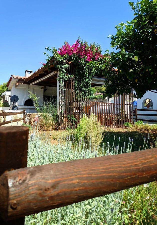 Koel Country House Ano Almiri Экстерьер фото